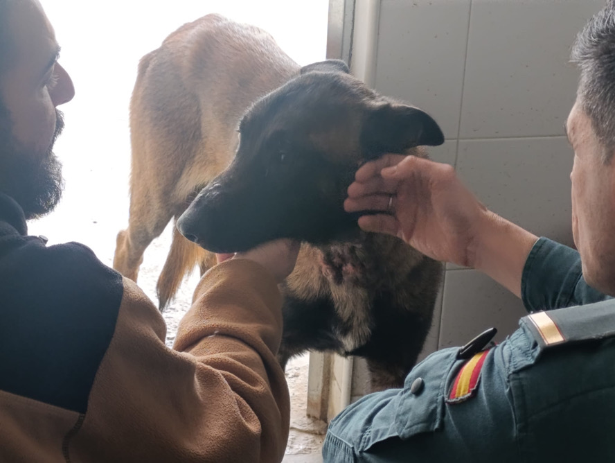 Una vecina de El Portal es investigada por maltrato animal