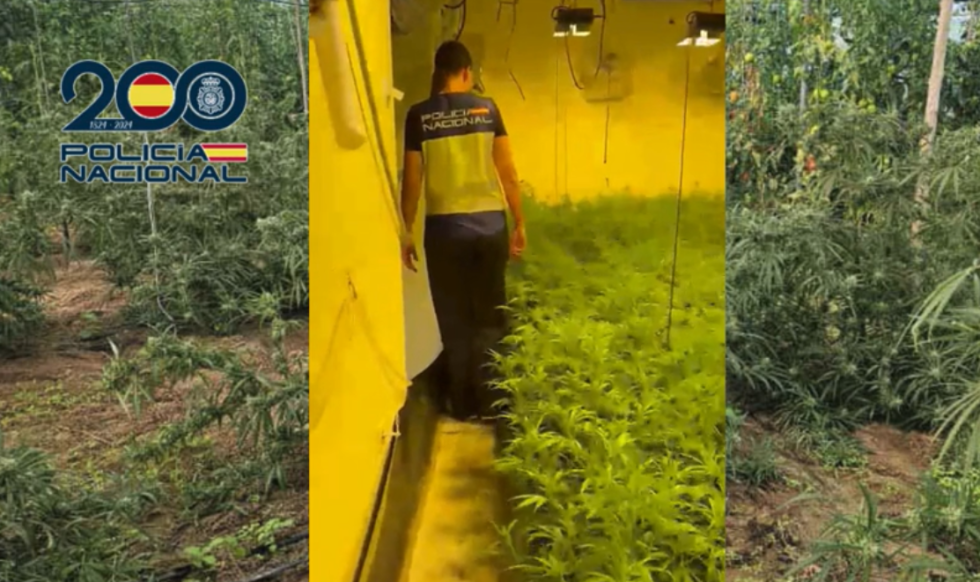 Golpe policial al cultivo de marihuana indoor en Sanlúcar