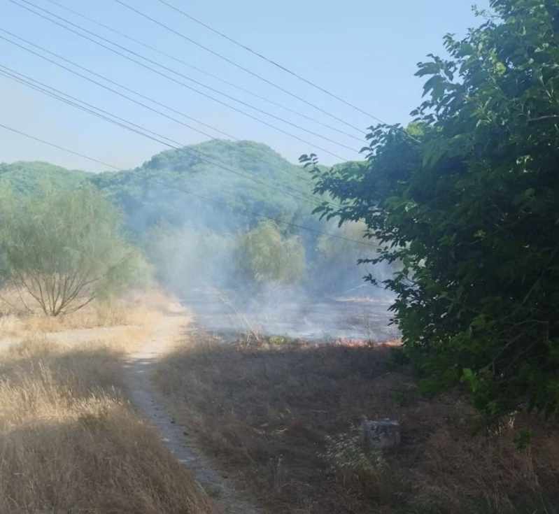 Incendio junto a la Venta La Palmera de El Puerto