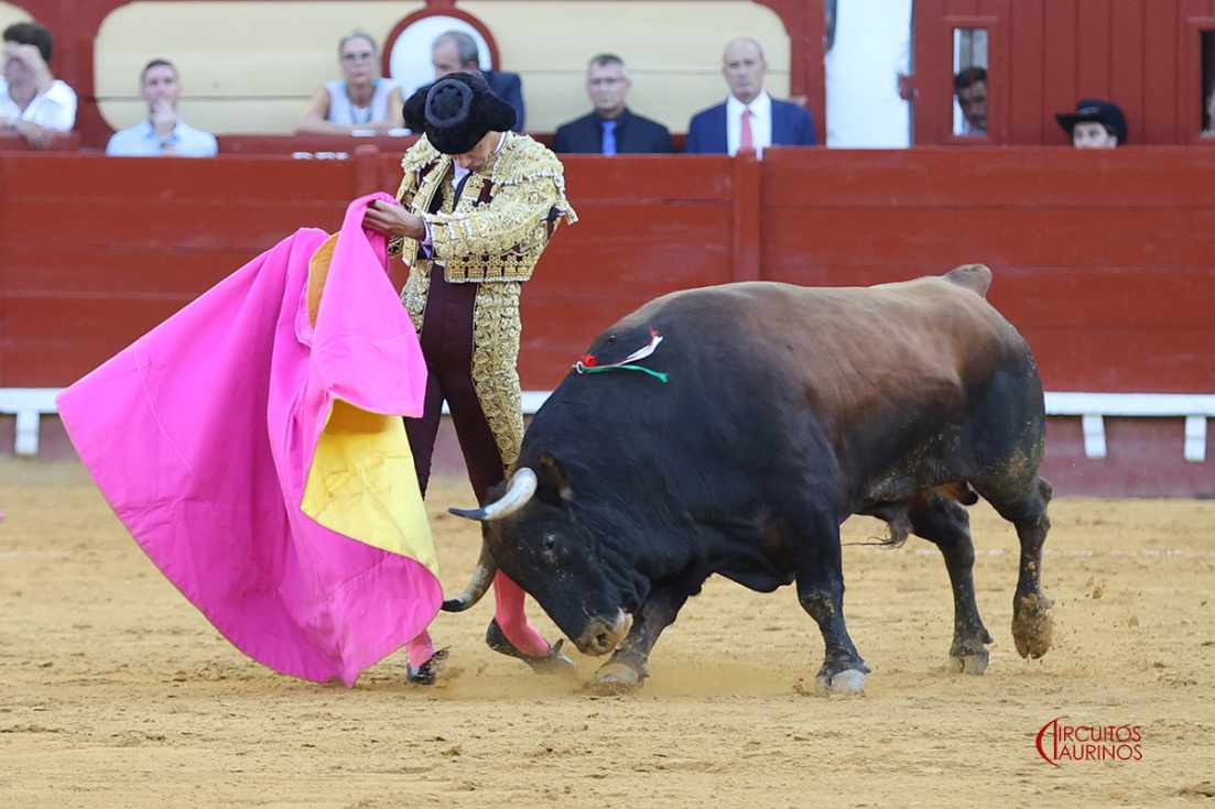 Ya se conocen los VII Premios De Sal y Oro, correspondientes a la temporada 2026