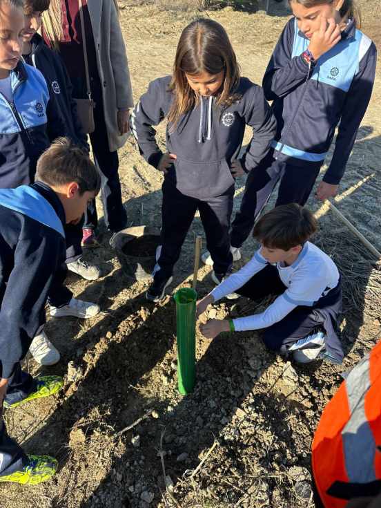 Cinco colegios y 250 escolares realizan la plantación de 500 árboles en el Parque Guadalete – El Puerto al minuto