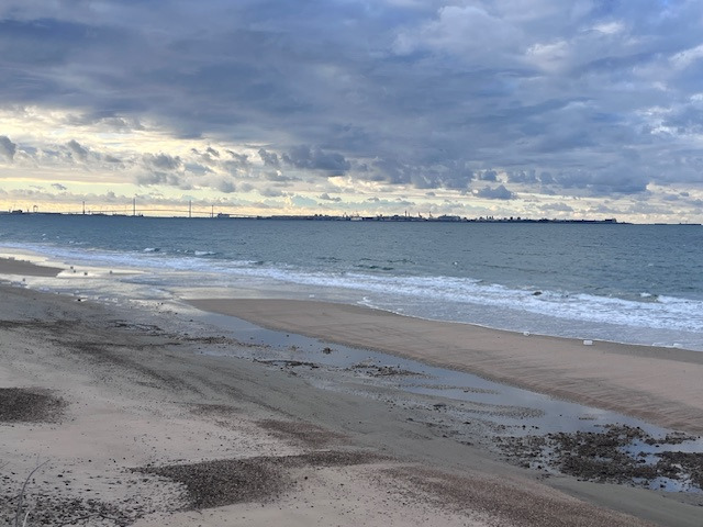 La playa esta mañana